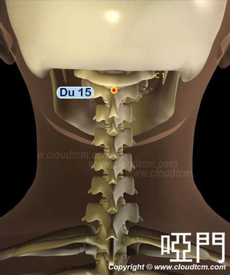 啞門穴位置|啞門穴:啞，發不出聲也，此指陽氣在此開始衰敗。。